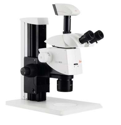 Leica M125 - профессиональный микроскоп для рутинных исследований