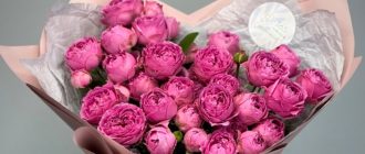 Почему важен правильный выбор ваз для продления жизни цветов