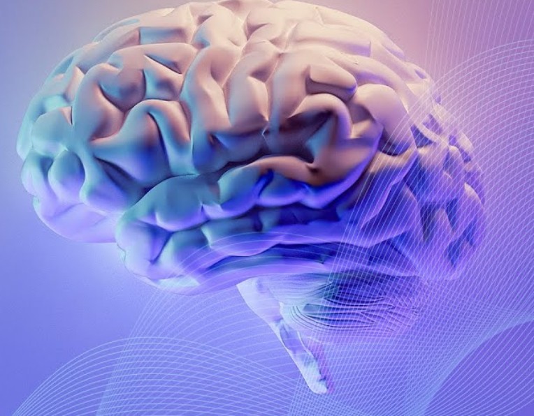 Психосоматика болезней: чему научит очный практический курс за 5 недель интенсивной работы